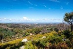 Algarve a la Carte