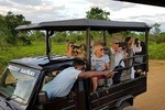Yala half day safari 