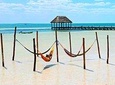 Holbox The Living Dream from Cancun & Playa del Carmen 