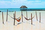 Holbox The Living Dream from Cancun & Playa del Carmen 