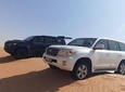 Morning Desert Safari Tour