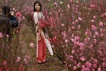 Peach blossom watching tour 