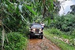 Munnar Mountain Jeep Safari