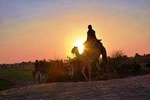 Camel Riding Tours Luxor