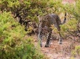 Private 3 Days Samburu National Park Safari All Inclusive