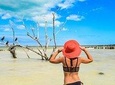 Tour Holbox (Isla Pasion & Cenote) Departure Cancun 