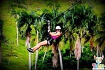 Full Safari Zipline, Buggies & Horse Riding