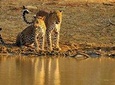 Nature & Wildlife - 10 Days Tour