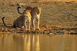 Nature & Wildlife - 10 Days Tour