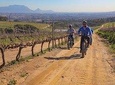 Cape Town: E-bike Wineland tour half-day