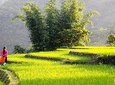 Sapa Valley Trek and Homestay - 3D2N