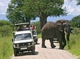 Amboseli National Park Guided Full Day Tour
