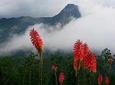 complete horseback riding valle del cocora