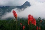 complete horseback riding valle del cocora