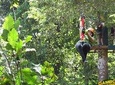 Zipline Gamboa