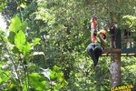Zipline Gamboa