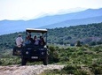 Bush Safari