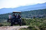 Bush Safari