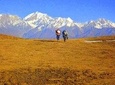 Dayara Bugyal Himalayan Trekking and Camping