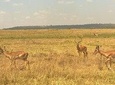 3 Days Amboseli National Park