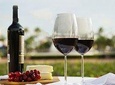 Wine Tasting Tour