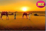 Pack QUAD AND CAMELS RIDE min 2 pers- Agafay desert