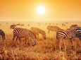 6 Day Mid-range Serengeti, Ngorongoro, Lake Manyara and Tarangire National Park