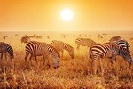 6 Day Mid-range Serengeti, Ngorongoro, Lake Manyara and Tarangire National Park