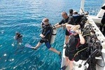 Saona Island + Catamaran Party