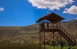 Cusco Birdwatching at Huacarpay Wetlands (Halfday)