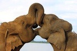 Amazing Sri Lanka (25 Days)