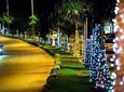 Magic Christmas Tour of Kigali City