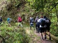 Hiking and Trekking tours in Madeira