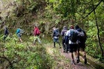 Hiking and Trekking tours in Madeira