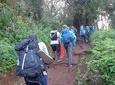 1 Day Kilimanjaro trek via Marangu Route