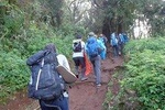 1 Day Kilimanjaro trek via Marangu Route