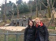 Chengdu Discovery: 4-Hour Giant Panda Base Tour