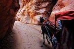 Transportations around Jordan