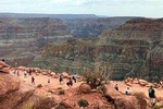 Grand Canyon West/Skywalk (Optional) Western Ranch (Lunch) & Joshua Tree Forest