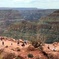 Grand Canyon West/Skywalk (Optional) Western Ranch (Lunch) & Joshua Tree Forest