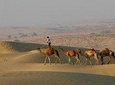2 Days-1 Night Camel Tour