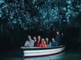 Waitomo Caves Tour from Auckland
