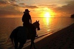 Sunset Beach Horse Riding in Mauritius :)