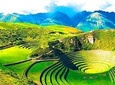 Maras Moray