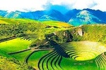 Maras Moray
