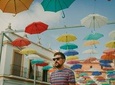 The Best of Malaga Walking Tour