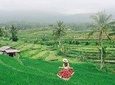 Bali Tour Package 9 Days 8 Nights