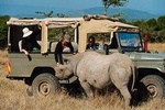 Full-Day Ol Pejeta Conservancy and Chimpanzee Sanctuary Tour from Nairobi