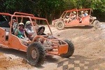 Dune Buggy & ATV Tour - Half Day