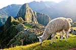 Machu Picchu By Train (2 Days)